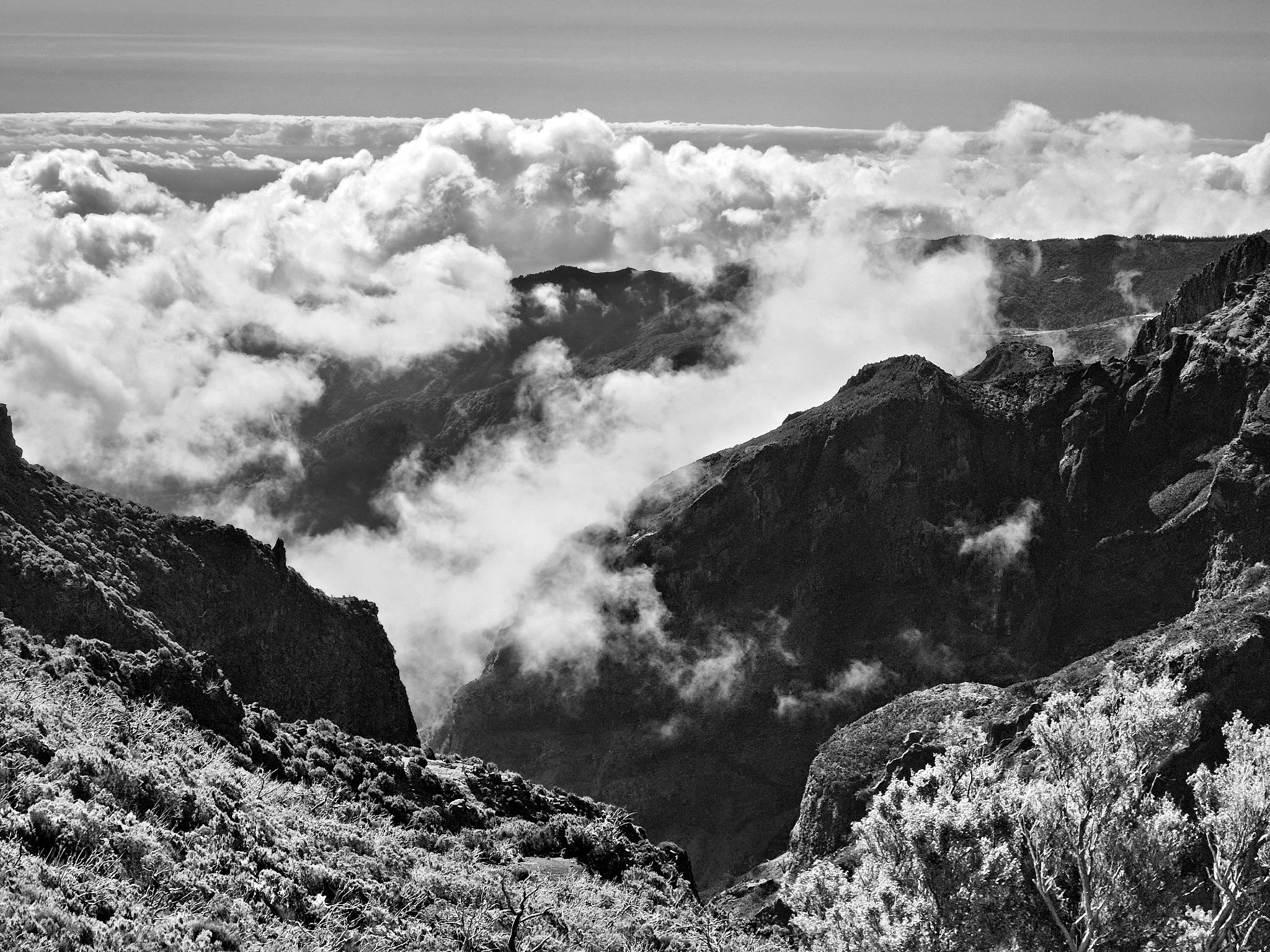 May 2025: Pico Ruivo, Madeira